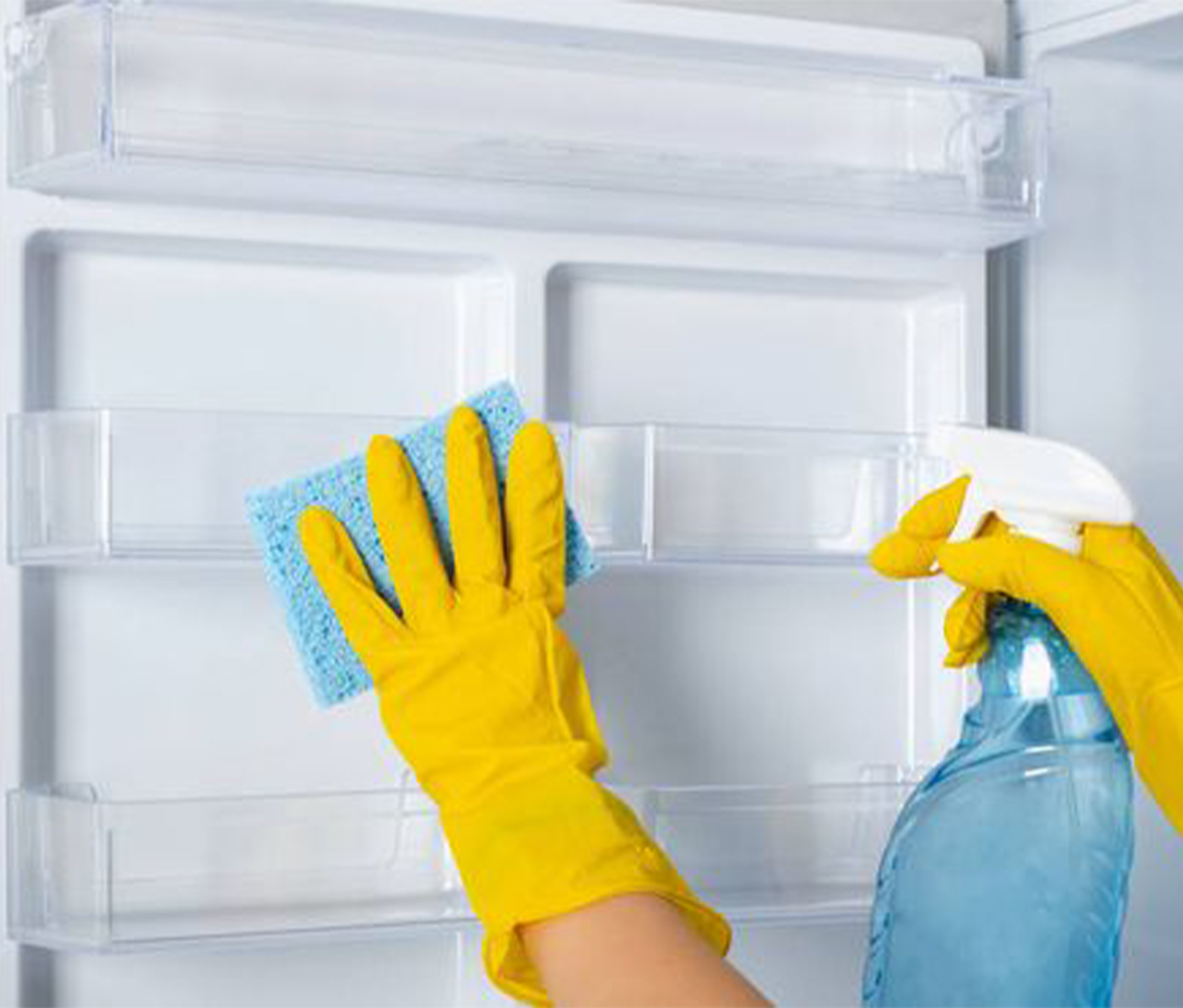 leunit_fridge_cleaning_service_2.jpg